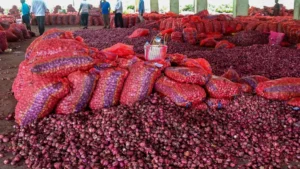 Delhi Onion Price